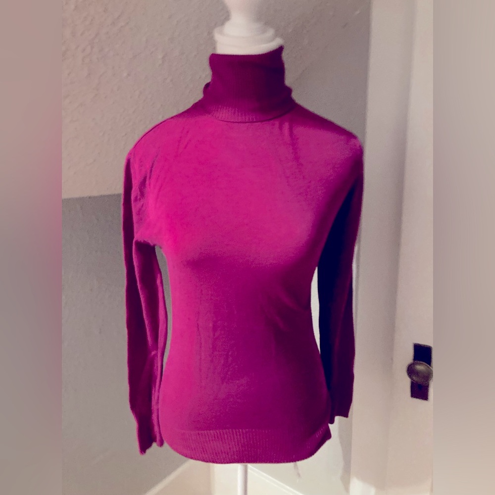Lot of turtleneck 5 sweaters in various colors! Fitted and flattering.